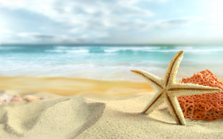 Starfish beach sand ocean sky - a starfish free wallpaper
