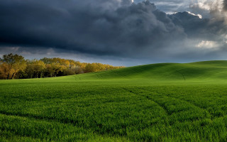 Green field dark sky clouds - stormy weather free wallpaper