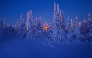Cabin snowy forest night fullmoon 2 - bruno liljefors free wallpaper