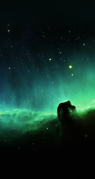Horse green sky stars bright - free sky wallpaper for mobile