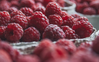Raspberries bowl market tiltshift blurry - a bunch of raspberries free wallpaper