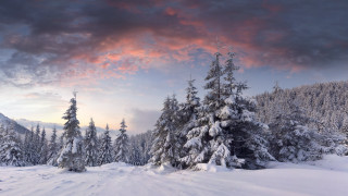 Snowy landscape trees sunset clouds 3 - sky free wallpaper