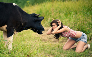 Woman kneeling field cow shoulder - a cow free wallpaper
