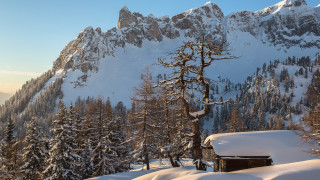 Snowy mountain cabin trees winter - domirinic fegallia free wallpaper