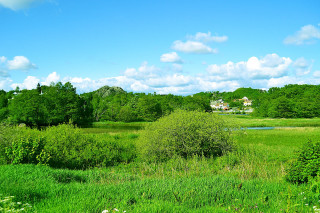 Field house trees blue sky - cloud above free wallpaper