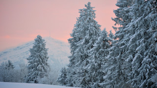 Snowy mountain forest pink sky 2 - a pink sky free wallpaper