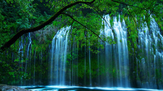 Waterfall tree lake forest nature - choi buk free wallpaper