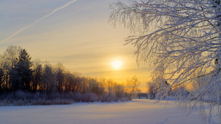 Snowy field trees bench sunset - the distance behind free wallpaper