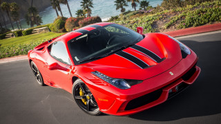 Red sports car beach palm - a view of the ocean free wallpaper