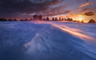 Sunset snow covered field trees 2 - volumetric free wallpaper