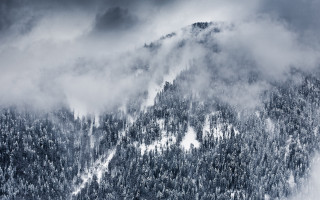 Snowy mountain clouds trees mist - mist free wallpaper