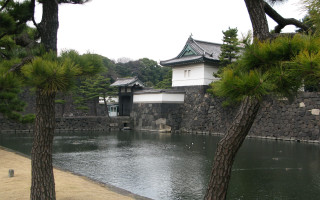 Pond building forest trees nature - eishōsai chōki free wallpaper