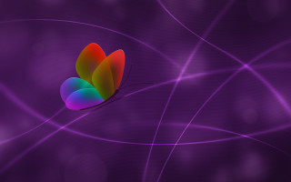 Colorful butterfly purple lines dots - a colorful butterfly free wallpaper