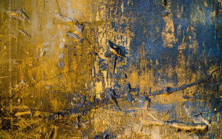 Yellow blue peeling paint bird - lyrical free wallpaper