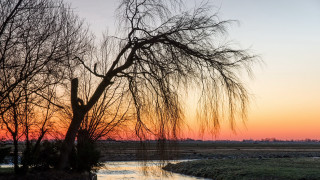 Bare tree river sunset clouds - kitsch movement free wallpaper for desktop
