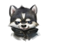 Husky leather jacket sad look - husky free wallpaper