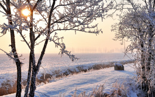 Snowy field hay bail fog - eric deschamps free wallpaper