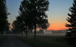 Dirt road trees fence sunset - tree and a fence free wallpaper