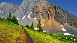 Mountain trail grassy field snowy - a grassy area in front free wallpaper