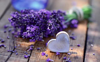 Heart lavender wooden table roses - a wooden table free wallpaper