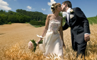 Bride groom kissing wheat field - cloud and trees free wallpaper