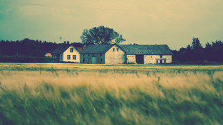 House field sky trees clouds - landscape free wallpaper for desktop