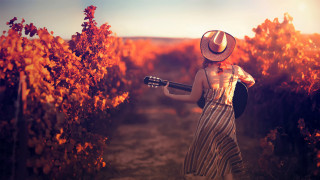 Woman hat guitar orange trees - elizabeth durack free wallpaper