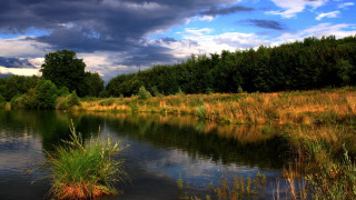 River grassy bank trees cloudy 2 - free summer wallpaper