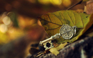 Key leaf rock woods steampunk - steampunk free wallpaper