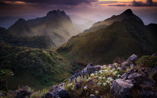 Mountain range flowers cloudy sky 2 - a bunch of flowers free wallpaper for desktop