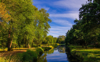 River forest sunny day nature - free summer wallpaper for desktop