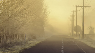 Foggy road telephone pole trees - volumetric fog free wallpaper