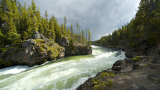 River rapids trees cloudy sky - river free wallpaper for desktop
