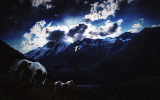 Horses grazing mountains bird sky - the background and a bird free wallpaper