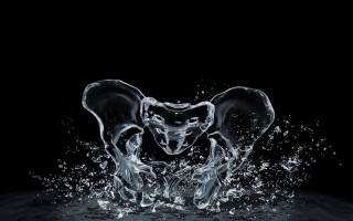 Water splash horse planet galaxy - a white horse free wallpaper