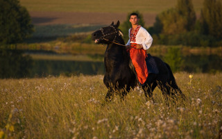 Man red white horse flower - tall grass free wallpaper