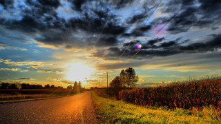 Sunset road field trees clouds 2 - a sun free wallpaper for desktop