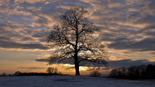 Snowy field sunset cloudy sky - a snowy field free wallpaper