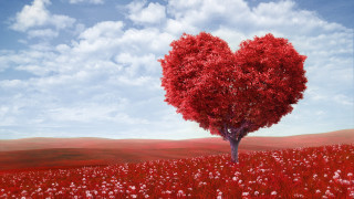 Heart shaped tree field flowers 3 - a blue sky background free wallpaper for desktop