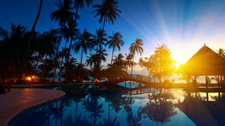 Sunset pool palm trees gazebo - a pool free wallpaper