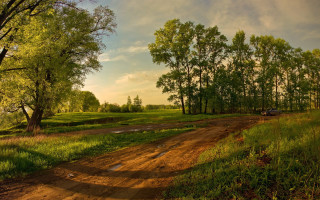 Dirt road grassy field car - a grassy field free wallpaper