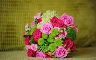 Pink roses green foliage couch - a bouquet free wallpaper