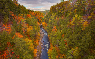 Fall colors river forest autumn - fall free wallpaper