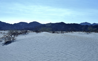 Desert mountains tree landscape beach - a desert landscape free wallpaper