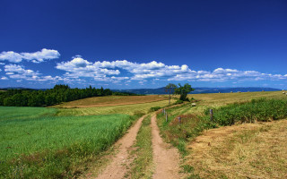 Dirt road green field blue 3 - free summer wallpaper