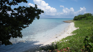 White sand blue water beach - the shore of the beach free wallpaper