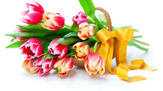 Basket tulips bow ribbon stilllife - a ribbon free wallpaper