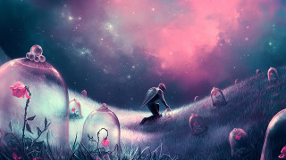 Flower field pink sky stars - firefly free wallpaper