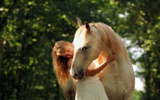 Woman hugging horse enchanting forest - the horse free wallpaper
