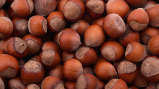 Nuts brown center tips pile - a brown center free wallpaper